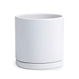 D'vine Dev 8 Inch Ceramic Planter Pot with Drainage Hole and Saucer, Indoor Cylinder Round Planter Pot, White, 94-O-M-1