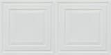 Economy 2 ft. x 4 ft. PVC Lay-in Ceiling Tile Pack of 50
