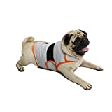 cattamao Dog Anxiety Relief Coat, Dog Anxiety Calming Vest Jacket for Thunderstorm,Travel, Fireworks,Vet Visits,Separation (Light Grey+Orange M)