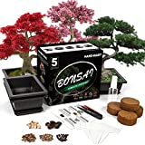 LERACHEL Bonsai Tree Starter Kit - 5 Bonsai Tree with Complete Growing Kit - Bonsai Pot, Soil, Pruner, Watering, Markers & Guide - Garden Gift for Women & Men