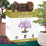 Nature's Blossom Bonsai Tree Kit - Outdoor & Indoor Garden Kit with Tools, 4 Types of Plant Seeds, Pots and Growing Guide - Gardening Gifts for Women & Men﻿