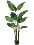 One 5 Foot Artificial Silk Bird of Paradise Palm Tree Potted Plant