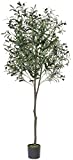 VIAGDO Artificial Olive Tree 6ft(70in) Tall Fake Potted Olive Silk Tree with Planter Large Faux Olive Branches and Fruits Artificial Tree for Modern Home Office Living Room Decor Indoor, 1176 Leaves