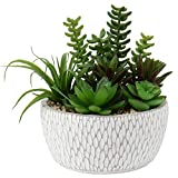 Small Fake Plants Assorted Faux Succulents in Pots Realistic Succulents Plants Artificial with Cement Pots for Home Table Office Desk Bathroom Shelf Living Room Decor