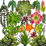 COTSEN 18 Pack Artificial Succulents Realistic Textured Fake Succulents Unpotted Artificial Cactus Plant Suitable for Garden Home Office Greening and Decoration