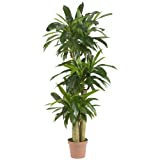 Nearly Natural - 6584 57in. Corn Stalk Dracaena Silk Plant (Real Touch), 62.5' x 9' x 9', Green