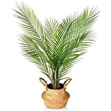 Kazeila Artificial Palm Tree, 30' Fake Potted Paradise Palm Plant with Handmade Seagrass Basket, Plastic Greenery Faux Tree Home Décor for Indoor Porch Balcony Bedroom Bathroom