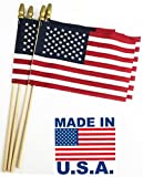 GIFTEXPRESS Proudly MADE IN U.S.A. 8x12 Inch Spearhead Handheld American Stick Flags /Grave marker American Flags/USA Stick Flag (12)