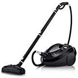 Dupray One Plus Steam Cleaner- Most Powerful Home and Professional, Chemical Free, Disinfecting, Portable Steamer for Cars, Floors, Grout, Tile, Windows, Furniture and made in Europe.