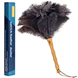 Aldwin Ostrich Feather Duster, 16 inch Ostrich Feather Duster with Wood Handle Reusable, Fluffy Natural Feather Duster for Cleaning Supplies Washable, Keyboard, Home, Car, Office