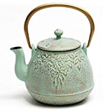 TOPTIER Tea Kettle for Stove Top, Cast Iron Teapot Stovetop Safe with Infusers for Loose Tea, 22 oz, Light Green
