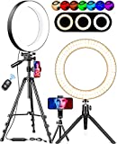 Selfie Ring Light with Stand and Phone Holder 14 Colors Lighting Filters RGB Ring Light , 2 Desktop Phone Stands & 1 Phone Camera Tripod Best Led Ring Lighting for Computer Phone Makeup Photos TikTok