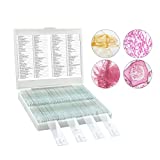 Microscope Slides, 100 Pcs Prepared Microscope Slides with Specimens for Kids Home School Class Learning