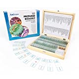 AmScope PS100A Prepared Microscope Slide Set for Basic Biological Science Education, 100 Slides, Set A, Includes Fitted Wooden Case