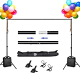 SH Backdrop Stand, 6.5 x 10 ft Adjustable Heavy Duty Photography Background Support System Kit with Spring Clamp, Sand Bag, Carry Bag, for Photo Video Studio