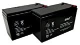 Casil 12V 7.2Ah Replacement Battery Compatible with e200s, e225, e300, e300s, e325 2 Pack
