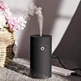 Car Diffuser Humidifier Aromatherapy Essential Oil Diffuser USB Cool Mist Mini Portable Diffuser for Car Home Office Bedroom (Plain Black)