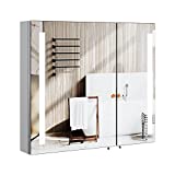 LED Lighted Bathroom Wall Cabinet with Mirror, 30 x 26 inch Illuminated Double Doors and Storage Shelves, Surface Mount, Touch Button, Cold White Lights, Aluminum Medicine Cabinet