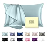 Natural Mulberry Silk Pillowcase for Hair and Skin Standard Size 20'X 26'Haze Blue Pillow Case with Hidden Zipper Soft Breathable Smooth Cooling Silk Pillow Covers for Sleeping(HazeBlue,Standard,1Pcs)