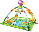 Fisher-Price Rainforest Music Lights Deluxe Gym Amazon Exclusive, Multicolor