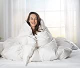 Goose Down White Comforter - Made in USA - 100% Egyptian Cotton 600 Thread Count Cover, 800+ Fill Power, Light Weight, All Season Washable Duvet Insert with Corner tabs - Queen