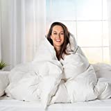 Goose Down White Comforter - Made in USA - 100% Egyptian Cotton 600 Thread Count Cover, 650+ Fill Power, Light Weight, All Season Washable Duvet Insert with Corner tabs - Queen