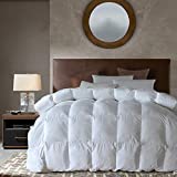Down Alternative Comforter King Size All Season Duvet Insert, Ultra Soft Double Brushed Microfiber Quilt Cover, Baffled Box Stitched with Corner Tabs, White Color