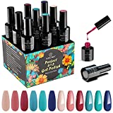 Gel Nail Polish Kit, Kastiny 9Pcs Classic Blue Pink Soak Off Gel Nail Collection with Base, Glossy & Matte Gel Top Coat, Gel Nail Polish Set DIY Manicure Kit for New Year Valentine Day Gift