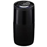 Instant HEPA Air Purifier for Home Allergens & Pet Danders, Removes 99.9% of Dust, Smoke, & Pollen with Plasma Ion Technology, AP 300 Charcoal