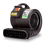 B-Air Grizzly GP-1 1 HP 3550 CFM Grizzly Air Mover Carpet Dryer Floor Fan for Water Damage Restoration and Pet Cage Dryer Black