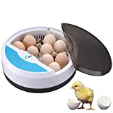 TACKLY Incubator for Hatching Chicken Eggs with Automatic Temperature and Humidity Control (9 Eggs) - Encubadora de huevos de gallinas - Chick, Duck, Quail, Goose and Reptile brooder Box kit
