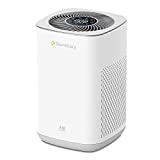 Air Purifier with H13 True HEPA Filter, Air Cleaner for Pets, Allergies, Dust, Pollen, Smoke, Mold, and Odors, C350 Air Purifiers for Home, Large Room, Bedroom, Office by Storebary