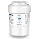 GLACIER FRESH MWF Water Filters for GE Refrigerators, NSF 42 Replacement for SmartWater MWFP, MWFA, GWF, HDX FMG-1, WFC1201, RWF1060, 197D6321P006, Kenmore 9991, 1 Pack