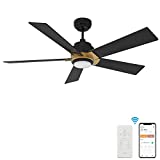 Smart Wifi LED Ceiling Fan, 52inch Plywood Outdoor smart ceiling fan with Remote, App control with Timer and Schedule, Compatible with Alexa/Google Assistant/Siri Shortcuts (Black/Gold)
