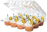 Katgely 12 Cavity Cupcake Container To Carry Cupcakes (Pack of 12)