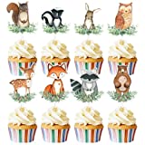 48pcs Woodland Cupcake Topper Animal Cupcake Toppers, Woodland Theme Baby Shower Decorations Woodland Creatures Baby Shower Forest Animal Baby Shower Decorations