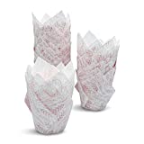 Ashleigh's Tulip Cupcake Liners - 100 Pink Floral Cupcake Wrappers, Baking Cups, Muffin Cups, Cupcake Cups for Baking Pans & Muffin Pan Liners (Botanical Ferns of Blush - 100ct.)
