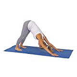 Sunny Health and Fitness Yoga Mat (Blue), Model:31