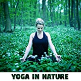 Yoga in Nature - Healing Music for Yoga, Time for You, Professional Meditation