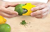 Talisman Designs Citrus Zester & Reamer | Orange Lemon & Lime Zester | BPA Free Kitchen | Functional Kitchen, Zesting Tool | Plastic & Stainless Steel
