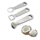 Mooninja Coconut Grater Fish Scaler Remover Cheese Scraper Meat Removal Hand Shredder Blade Manual Machine Stainless Steel Cooking Kitchen Knife Food Grinder Tools S Series (Set 3 Pcs (No.4,5,6))