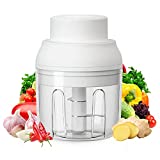 Hurry Lizzy Garlic Blender and Portable Food Processor | Handheld Rechargeable Garlic Chopper |250 ML and 100 ML Baby Food Masher, 2 Cup