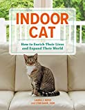 Indoor Cat: How to Enrich Their Lives and Expand Their World