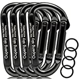 Carabiner Clip, 4 Pack, 855lbs，3' Heavy Duty Caribeaners for Hammocks, Camping Accessories, Hiking, Keychains，Outdoors and Gym etc, Small Carabiners for Dog Leash, Harness and Key Ring, Black