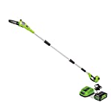 Greenworks 40V 8-Inch Cordless Pole Saw, 2Ah Battery and Charger Included