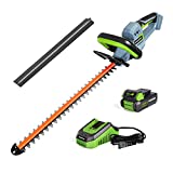 WORKPRO 20V Cordless Hedge Trimmer, 20' Dual Action Blades Electric Gardening Tool, 2.0Ah Battery and 1 Hour Quick Charger Included