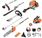 PROYAMA Powerful 42.7cc 5 in 1 Multi Functional Trimming Tools,Gas Hedge Trimmer,String Trimmer, Brush Cutter,Pole Saw with Extension Pole
