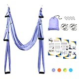 Sotech Aerial Yoga Swing Set, Yoga Hammock, Anti-Gravity Sling Kit, Inversion Swing Exercises with 2 Extension Daisy Straps and 4 Carabiners - for Beginners and Kids, Light Purple