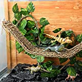 Reptile Lizard Habitat Accessories Include 29.52 x 7.08 Inch Lizard Hammock, Jungle Climber Vines Flexible Leaves Habitat Reptile Decor with Suction Cups for Bearded Dragons Iguanas and Other Reptiles