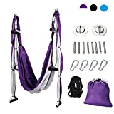 ZELUS Aerial Yoga Swing Sling Strong Yoga Hammock Kit Set Trapeze Inversion Exercises Include Ceiling Mounting Kit and 2 Extensions Straps (Purple and White)